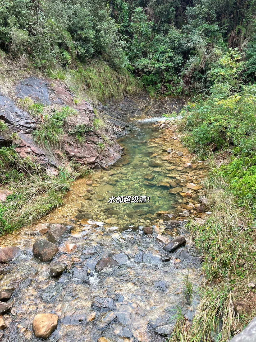 温州徒步 | 这条亲子友好路线一定要去！⛰️