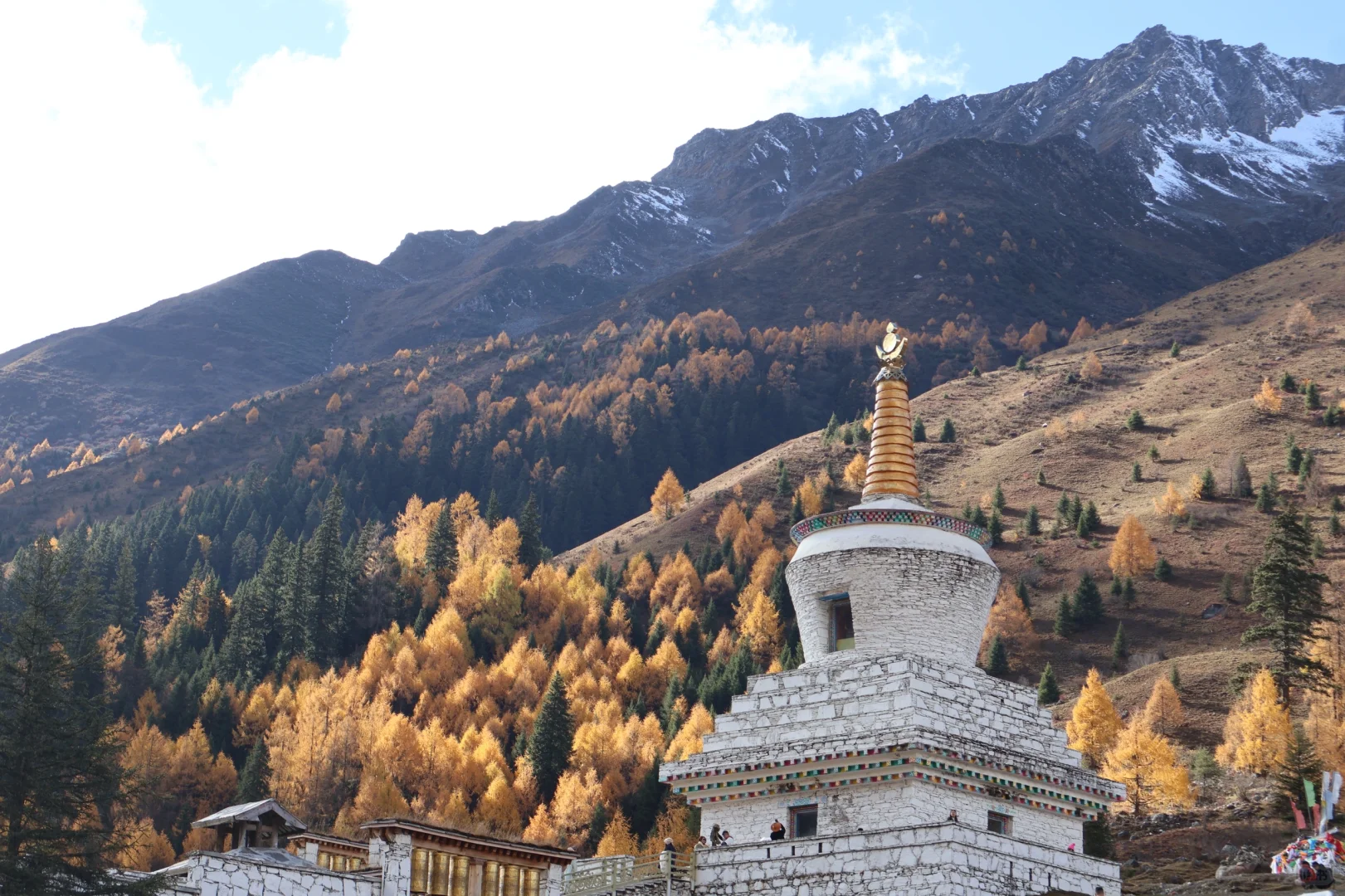 秋天去四姑娘山 双桥沟🍂