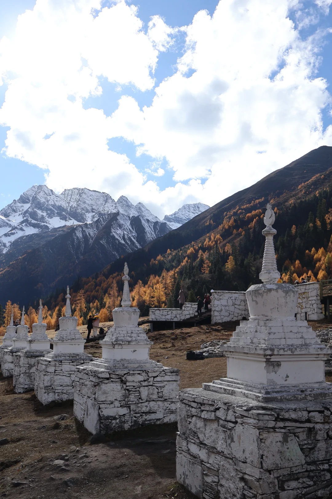 秋天去四姑娘山 双桥沟🍂