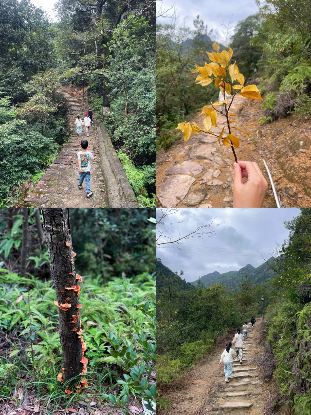 温州徒步 | 这条亲子友好路线一定要去！⛰️