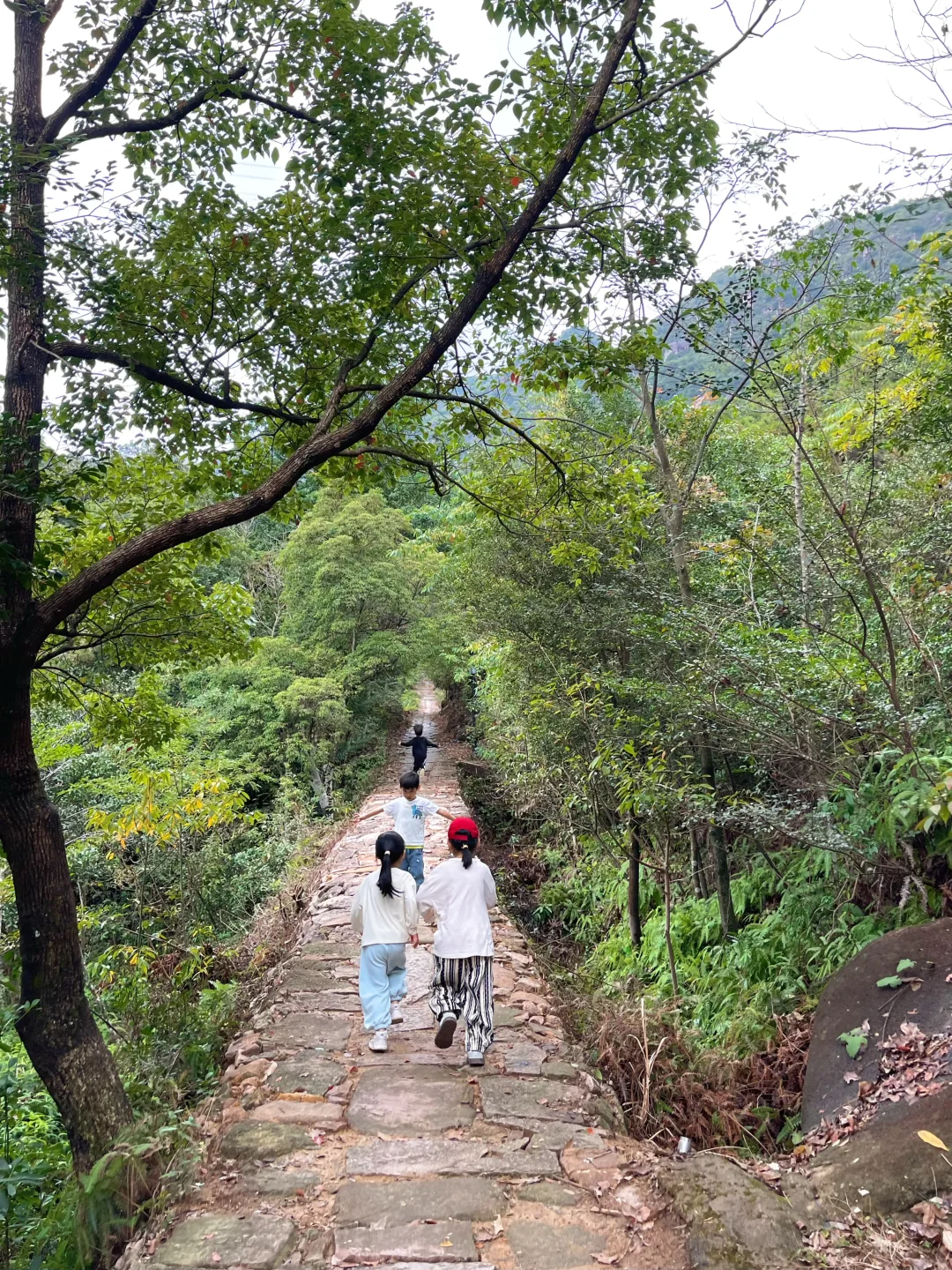 温州徒步 | 这条亲子友好路线一定要去！⛰️