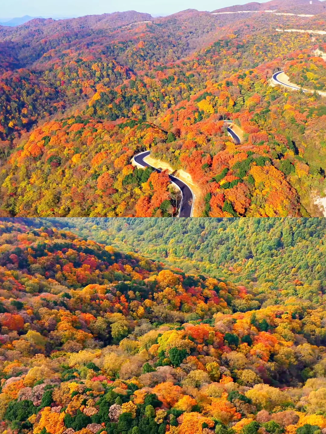 成都周边小众赏秋！🍂像童话里的彩林山谷…