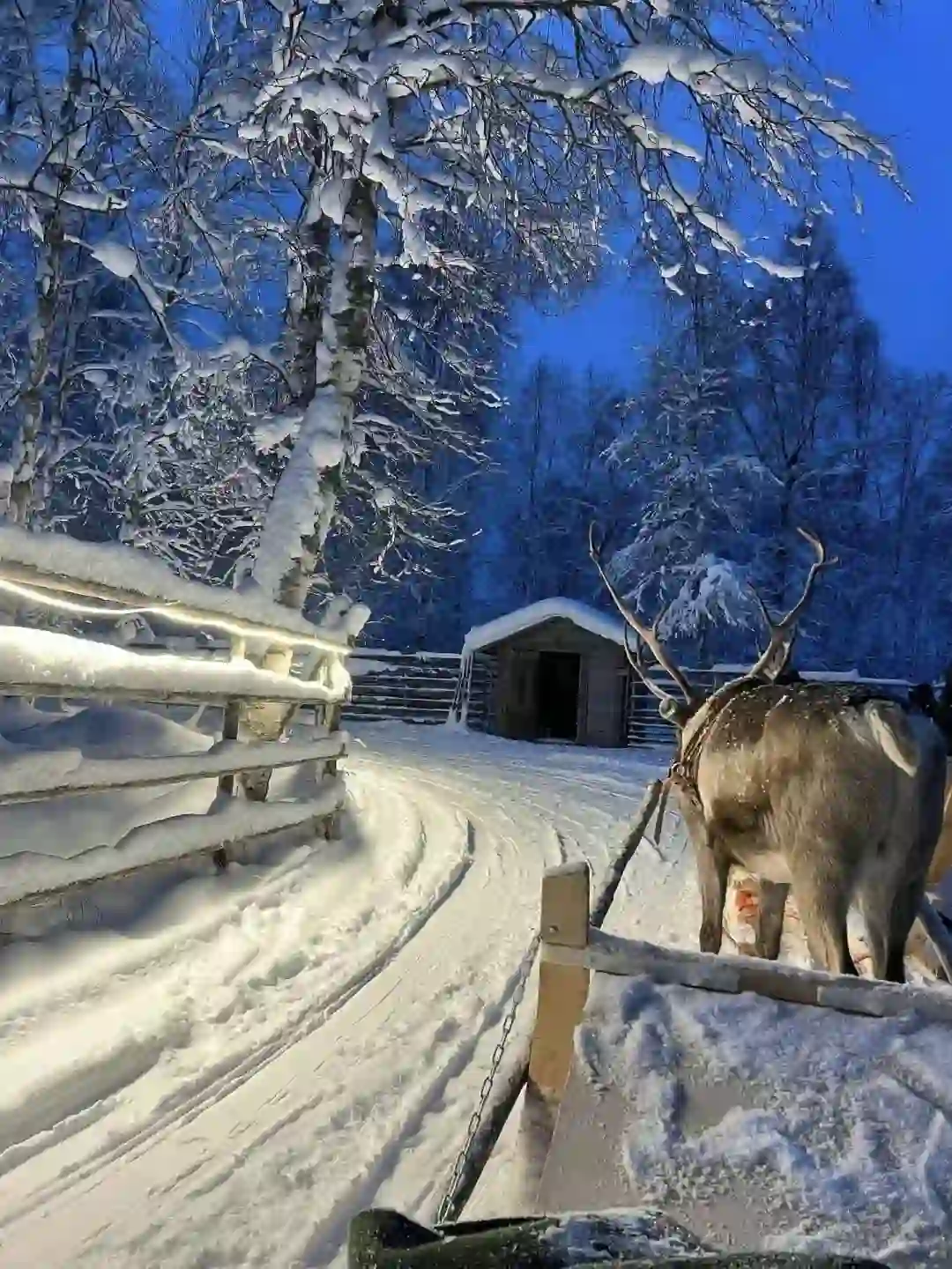 不是芬兰去不起，是长白山的雪橇一样震撼!!!