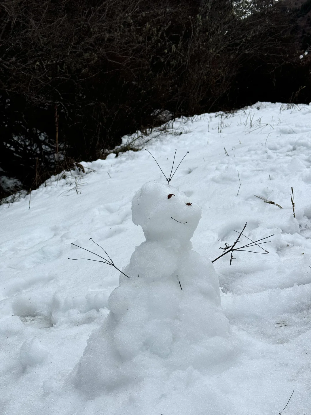 11.17实况❄️ 成都-松潘一日往返玩雪攻略