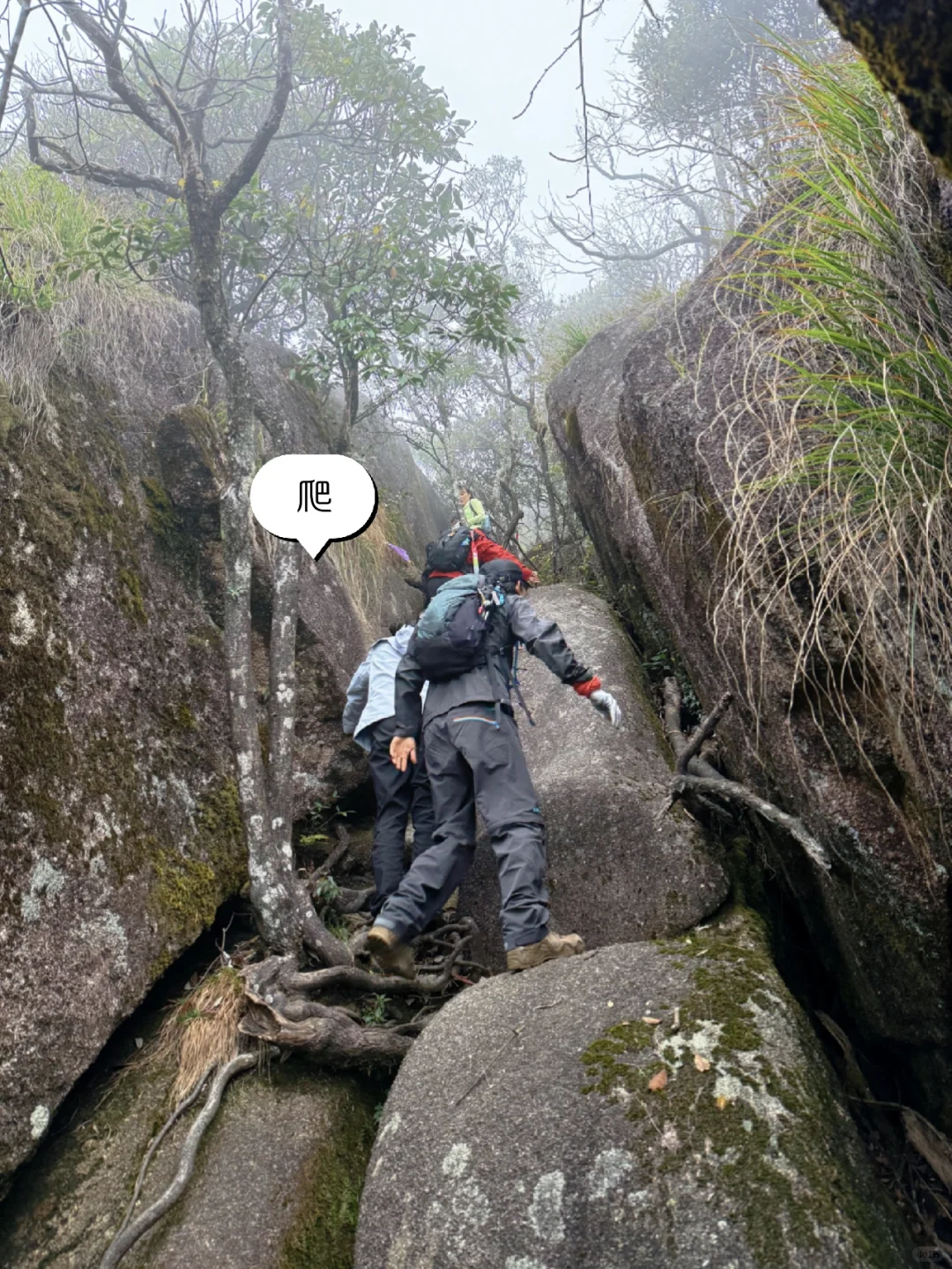 灵山天梯峰（误入景区）