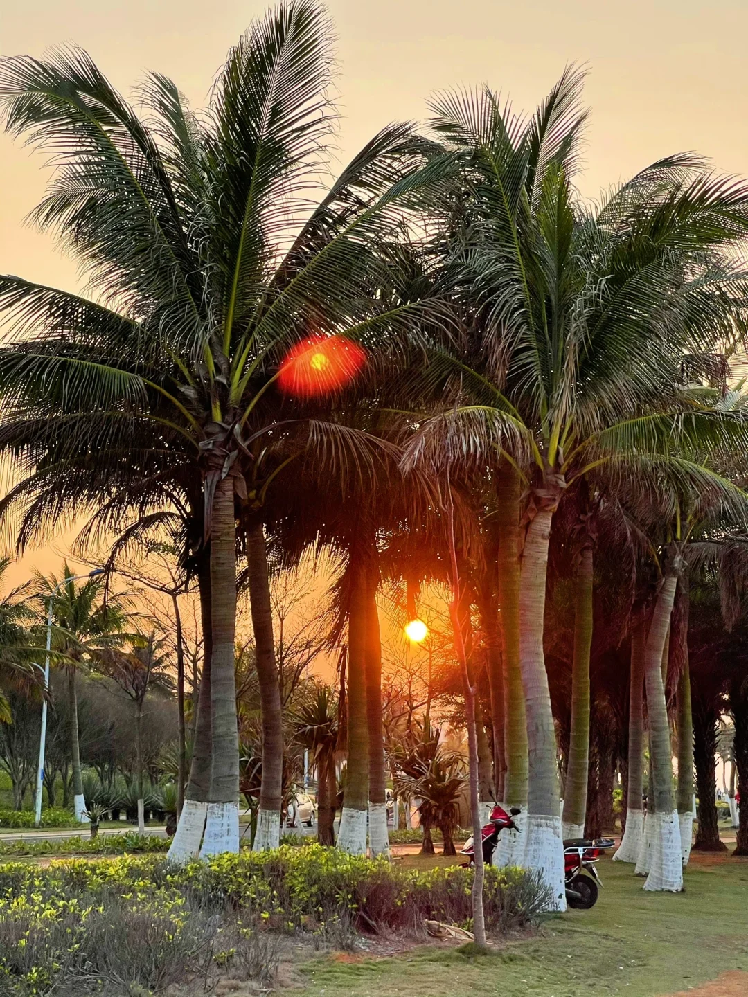 带父母去海南过冬🏝️琼海详细四条打卡路线