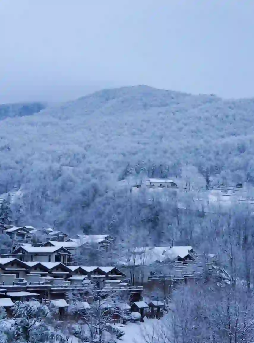 推荐一个被严重低估的南方小众雪原：神农架！