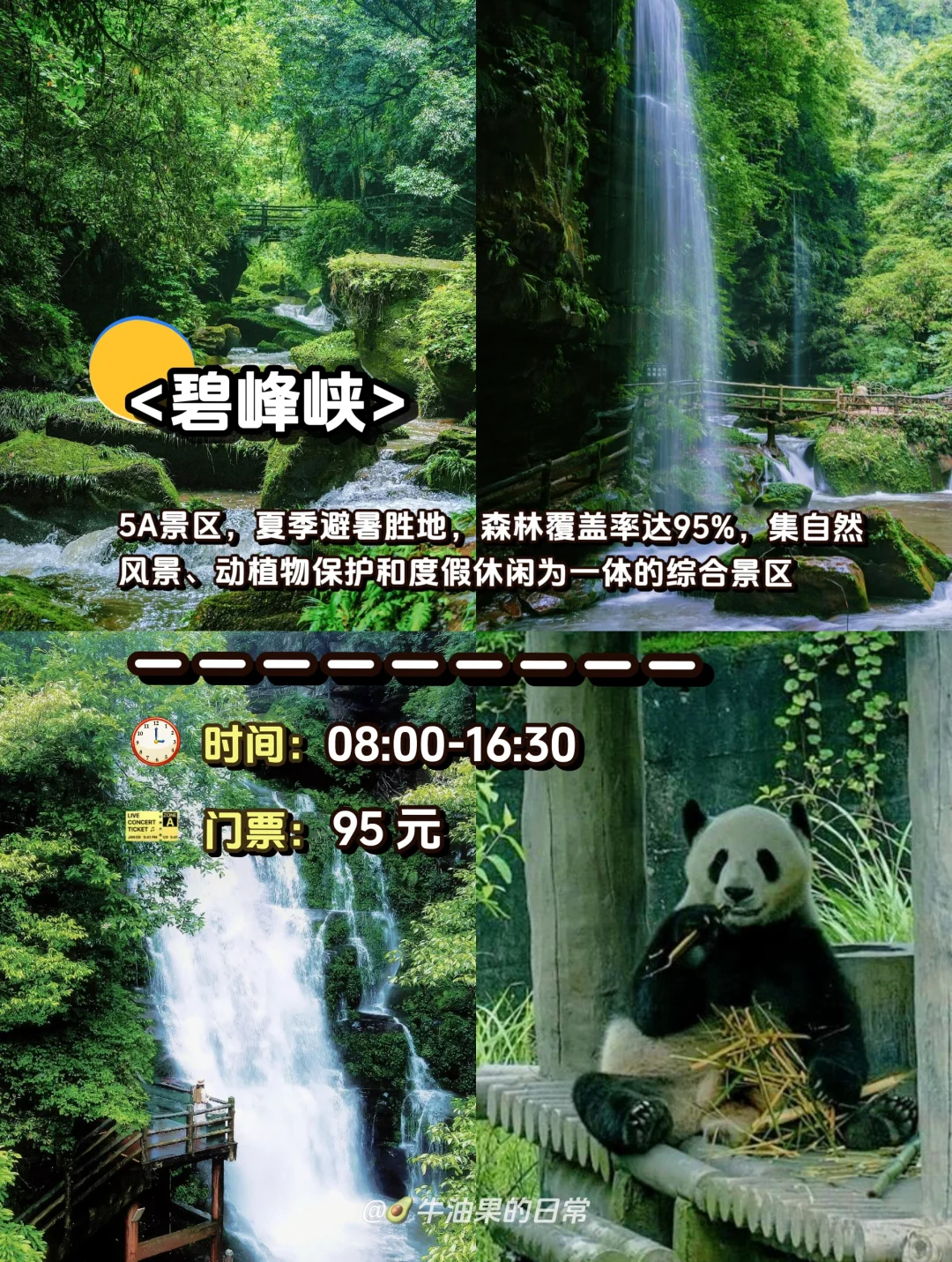 🌟雅安旅游攻略|这 1️⃣0️⃣个景点一定要去‼️