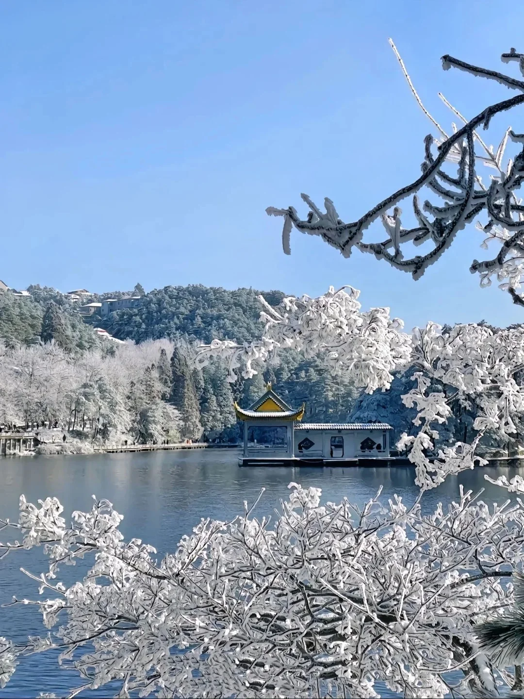 冬天一定要去一次庐山‼️攻略来咯！！！⛄