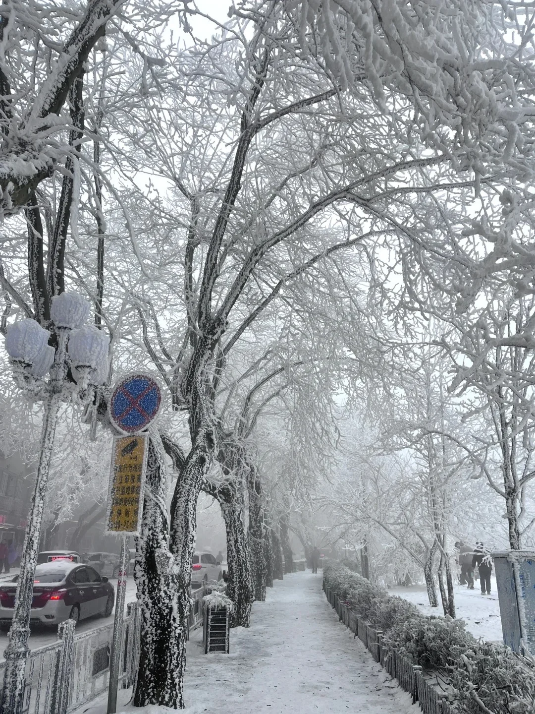 冬天一定要去一次庐山‼️攻略来咯！！！⛄