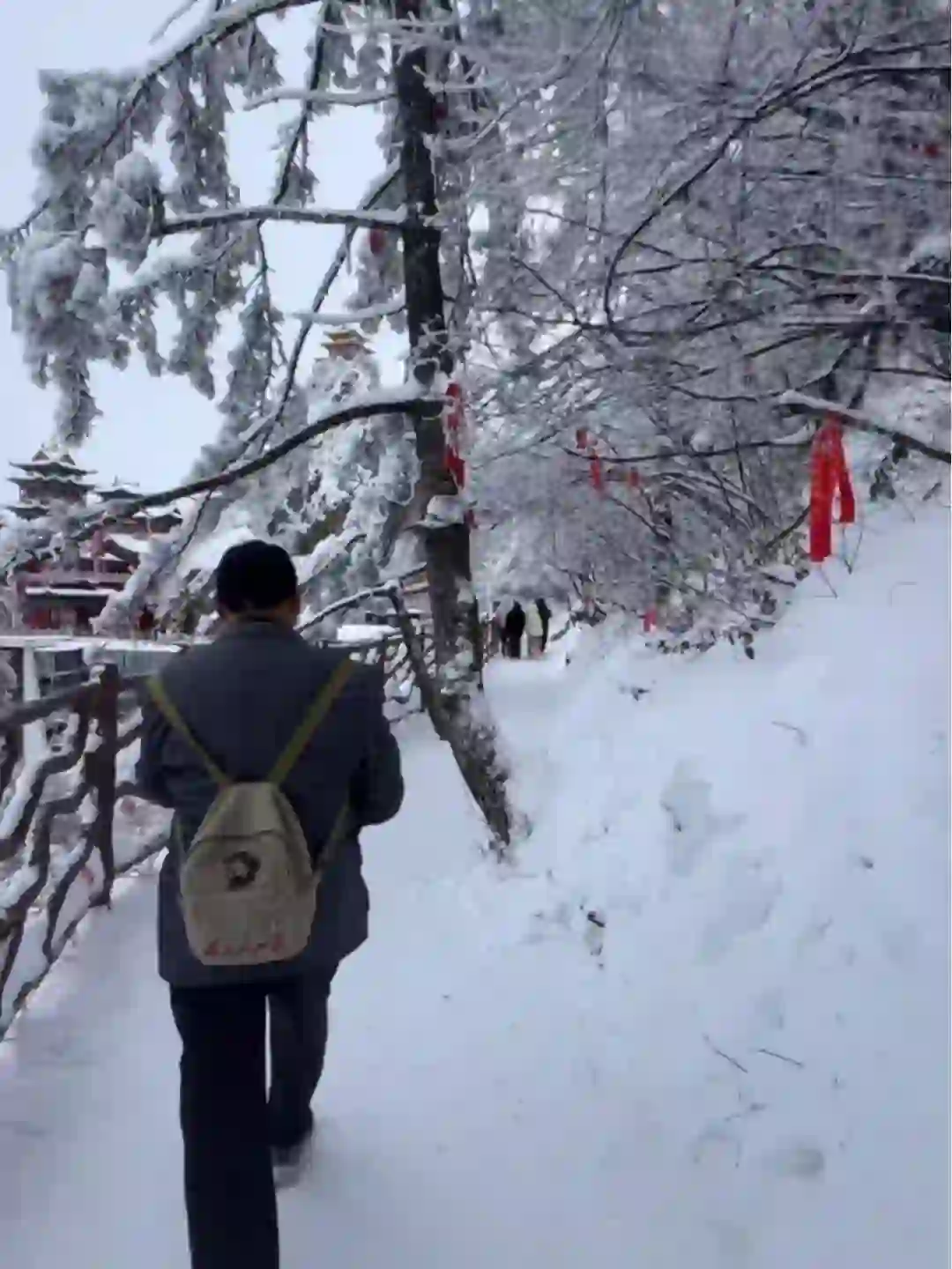 11.19今日老君山实况，震惊了，太美了吧简直，