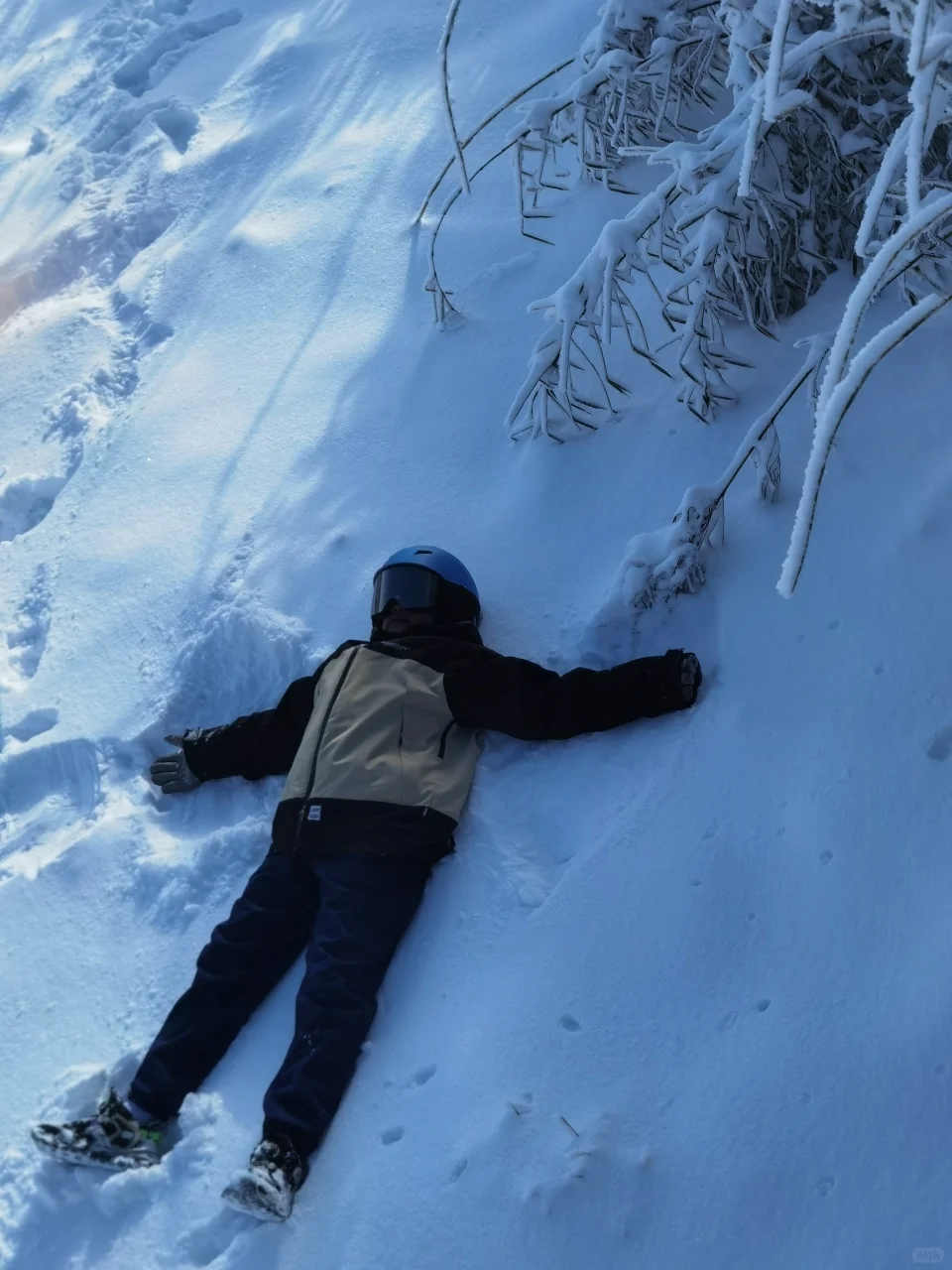 推荐一个被严重低估的南方小众雪原：神农架！