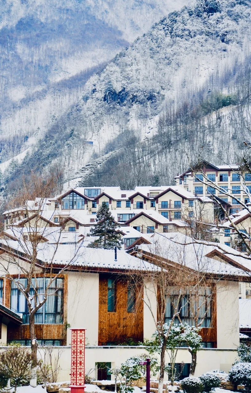 推荐一个被严重低估的南方小众雪原：神农架！