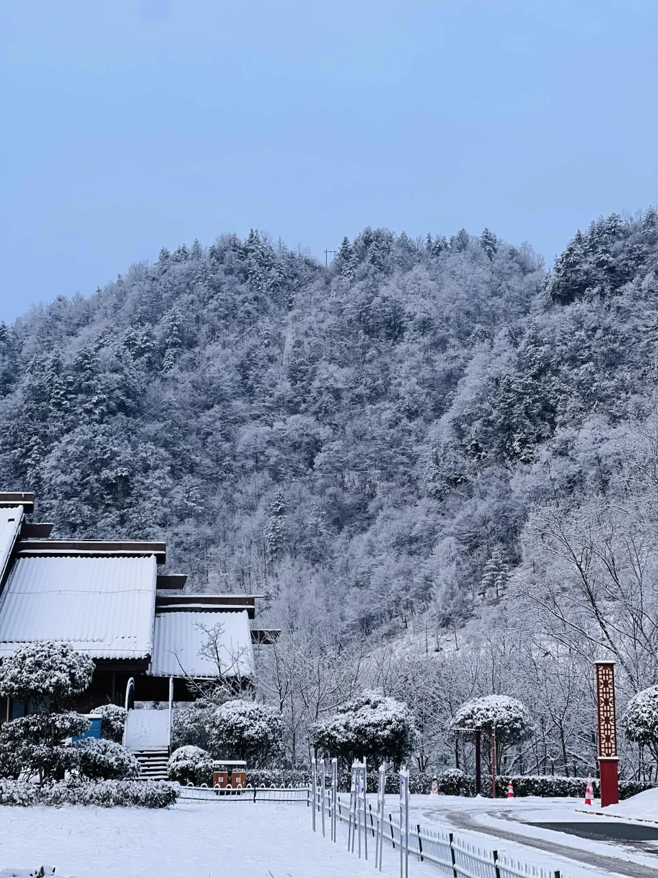 推荐一个被严重低估的南方小众雪原：神农架！