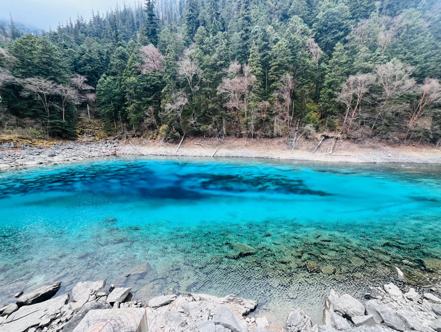 记录阴天的九寨沟