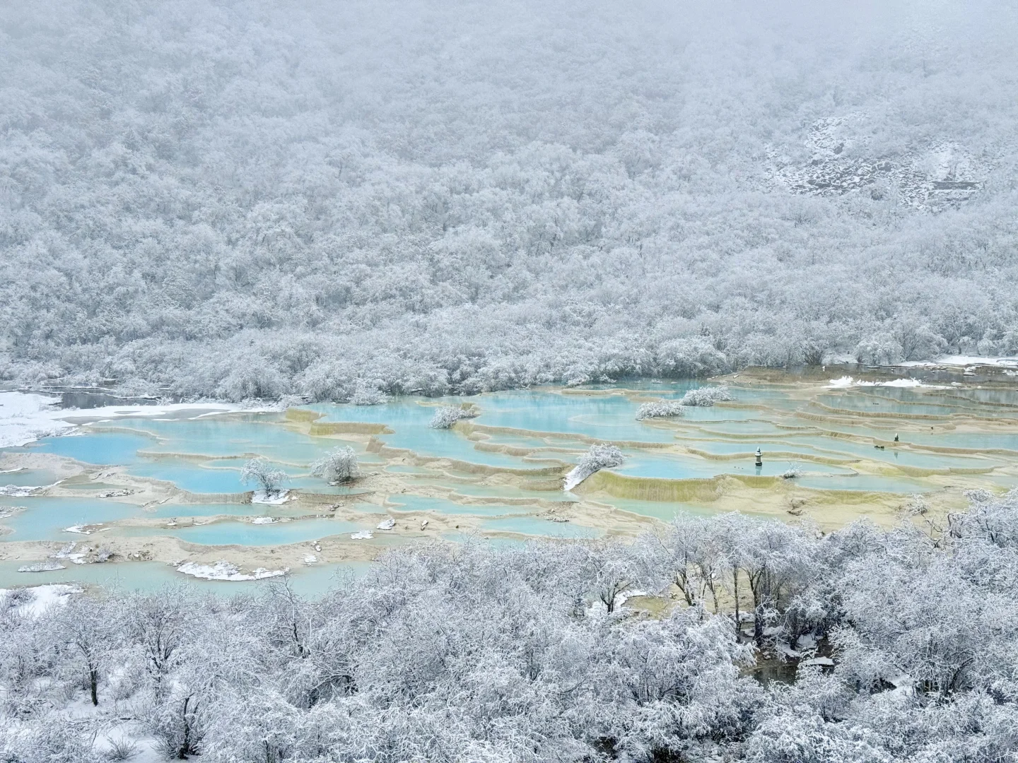 黄龙今日大雪