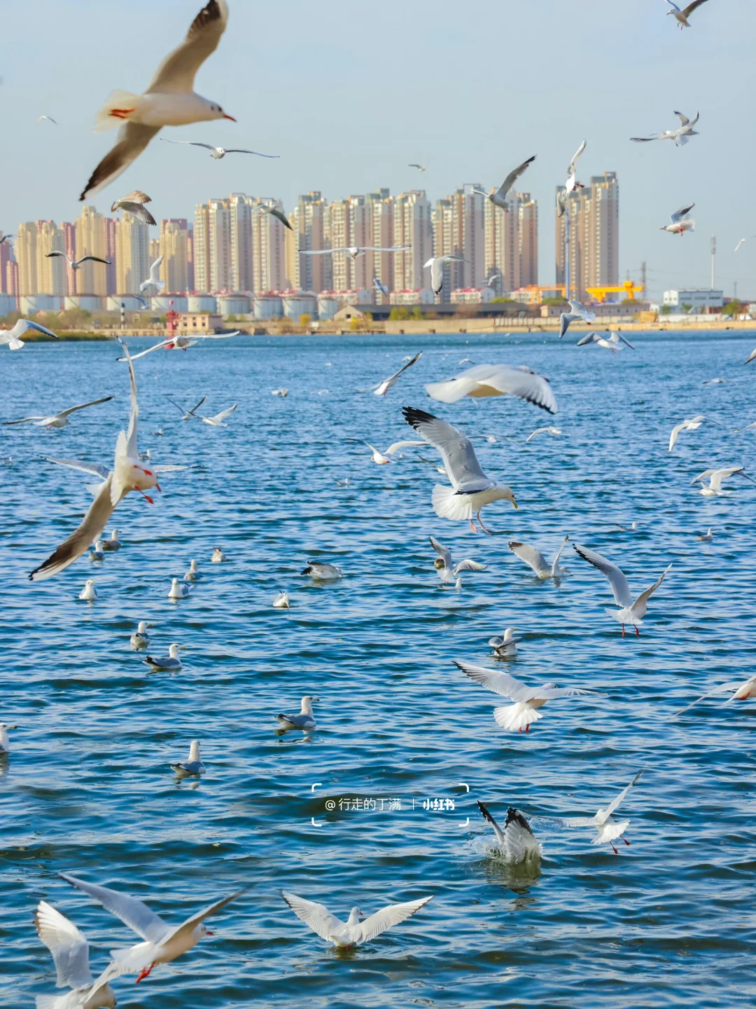 人生建议：逛完这些地方在离开天津滨海🌊