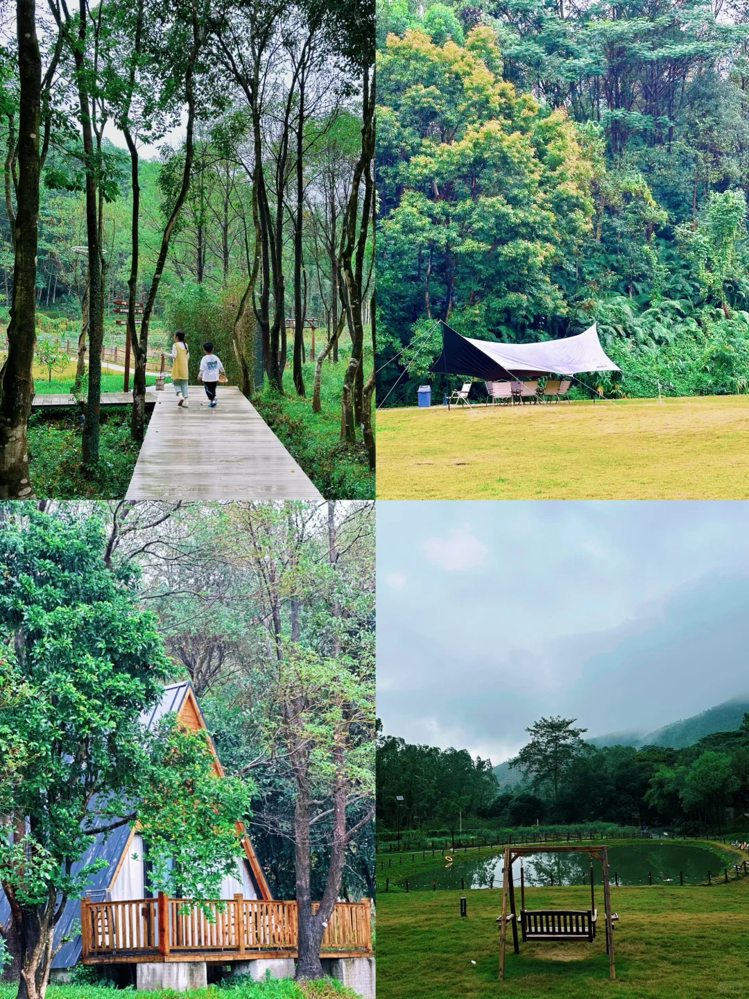 河源周边游1h直达🚗住进惠州版阿勒泰🌲