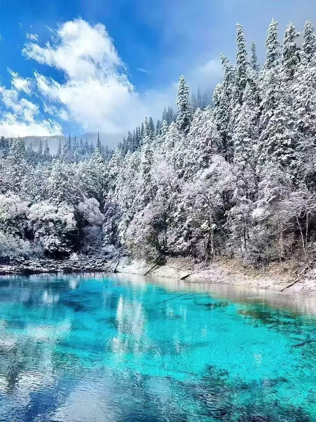 11.18📍九寨沟现状❄️重庆往返3天攻略