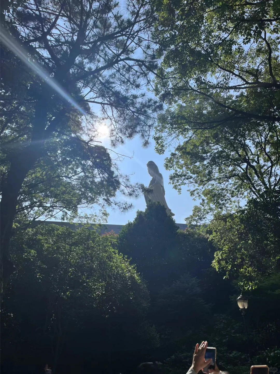 普陀山一日游攻略（高效不走回头路）