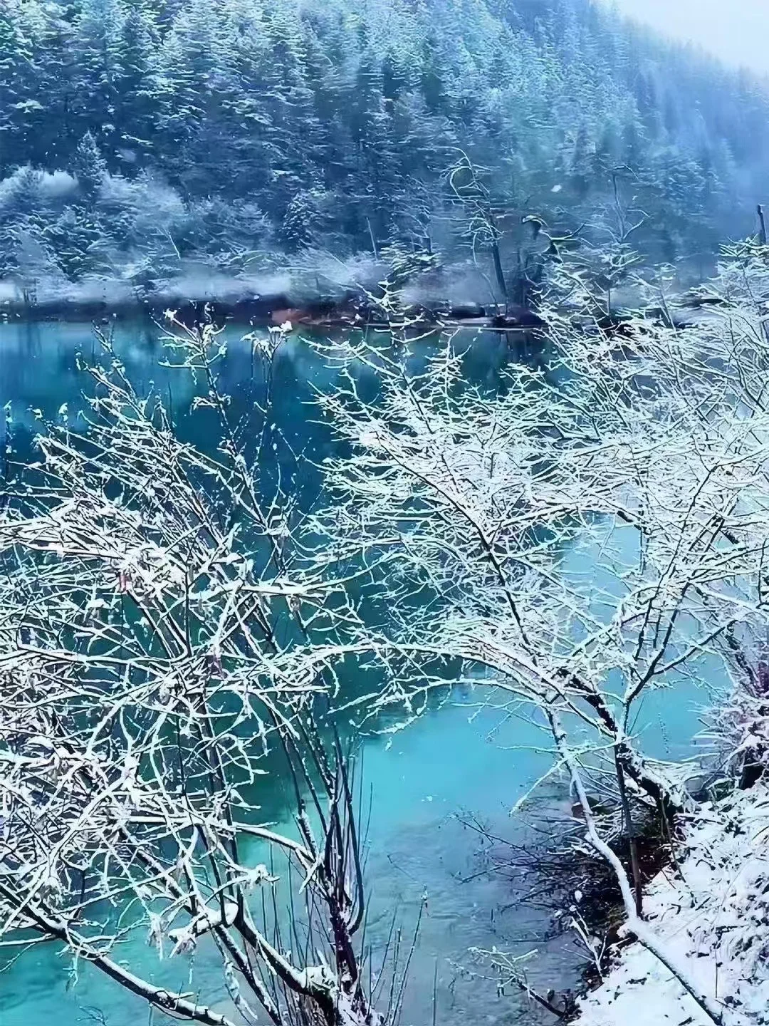 11.18📍九寨沟现状❄️重庆往返3天攻略