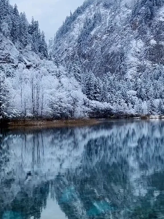 11.19📍九寨沟崩溃已回，真心建议还没来的…