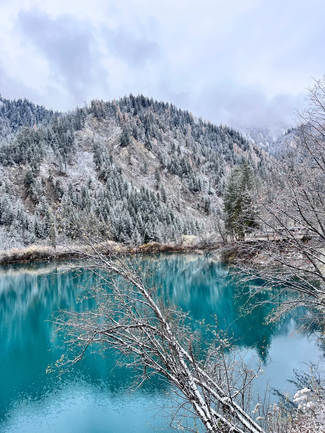 11.19📍九寨下雪赌狗大胜利 但真冷崩溃🥶…