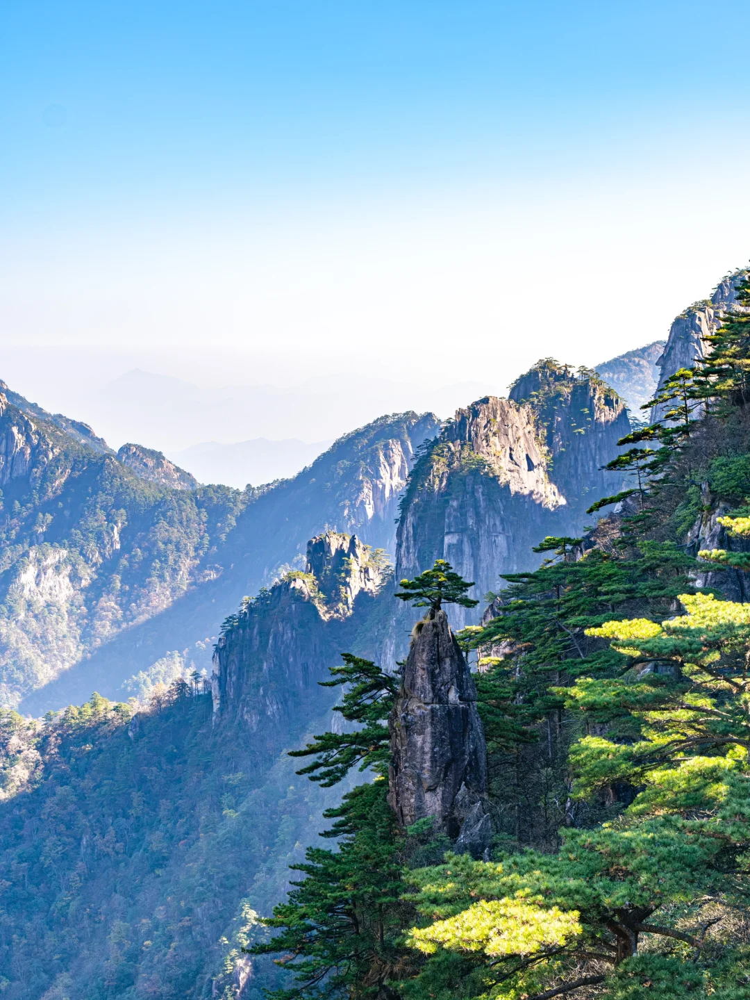 写给近期要去黄山的姐妹🌄满满的全是干货❗️