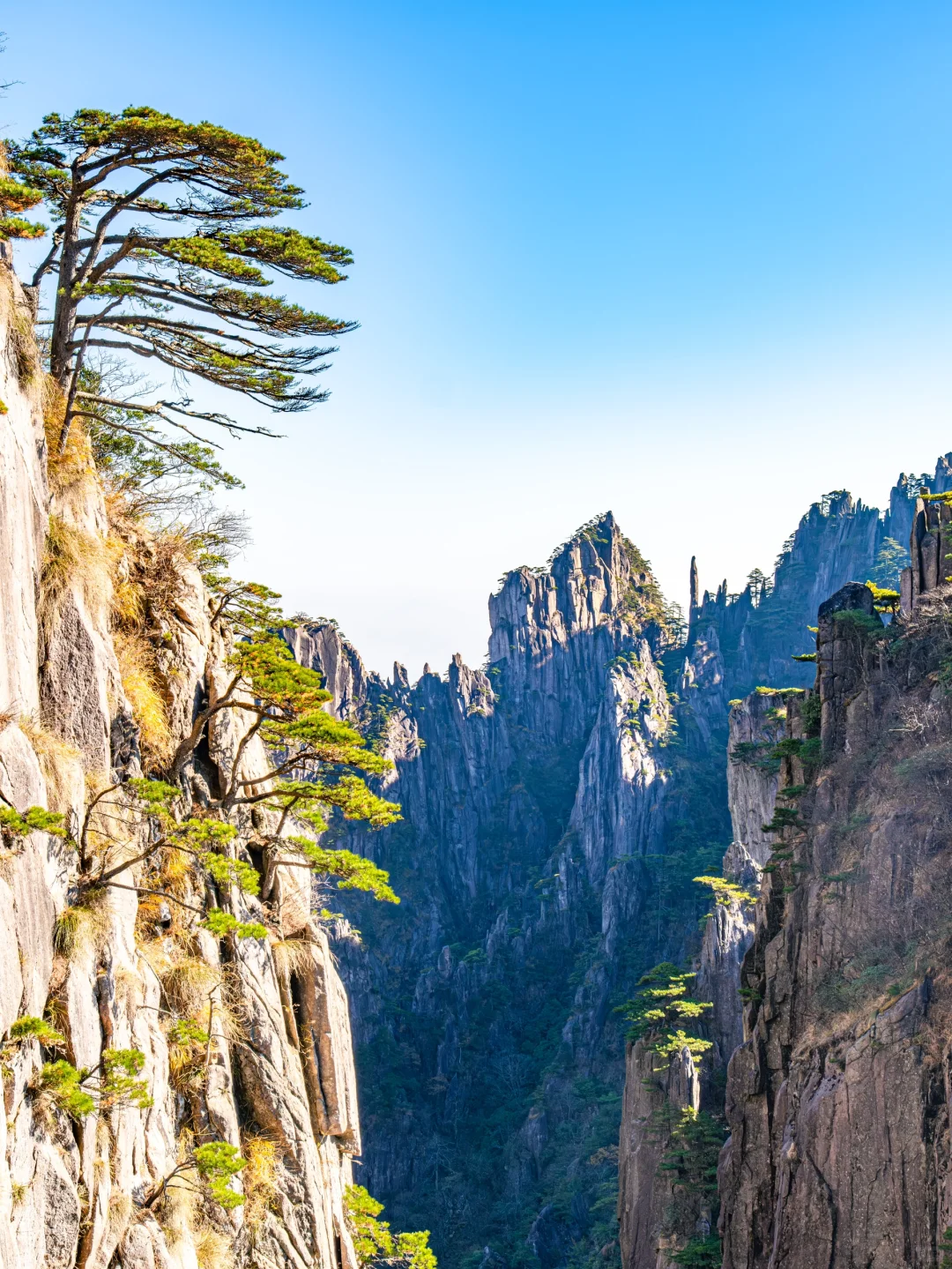 写给近期要去黄山的姐妹🌄满满的全是干货❗️