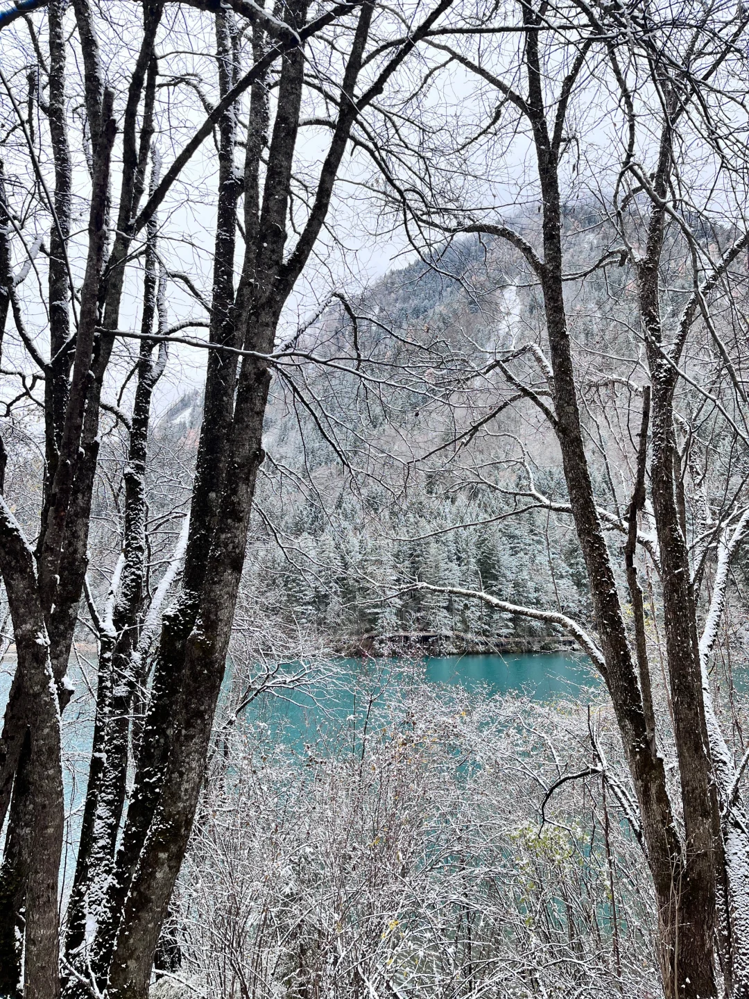 11.19📍九寨下雪赌狗大胜利 但真冷崩溃🥶…