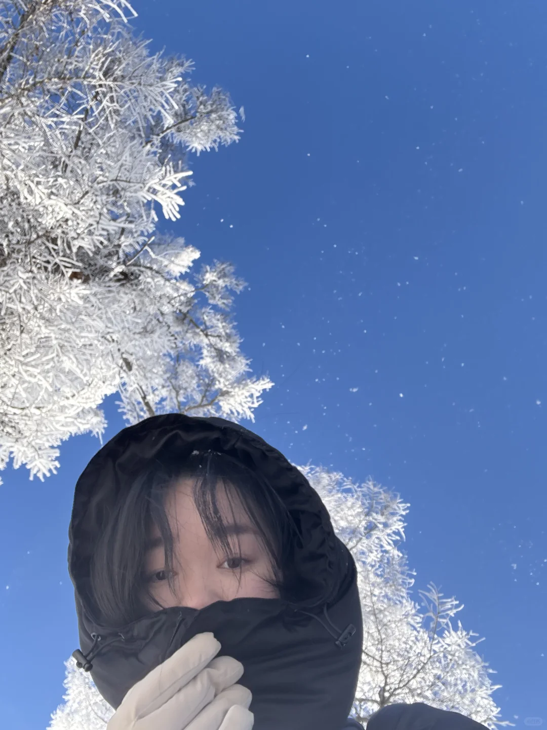 好美·喀纳斯