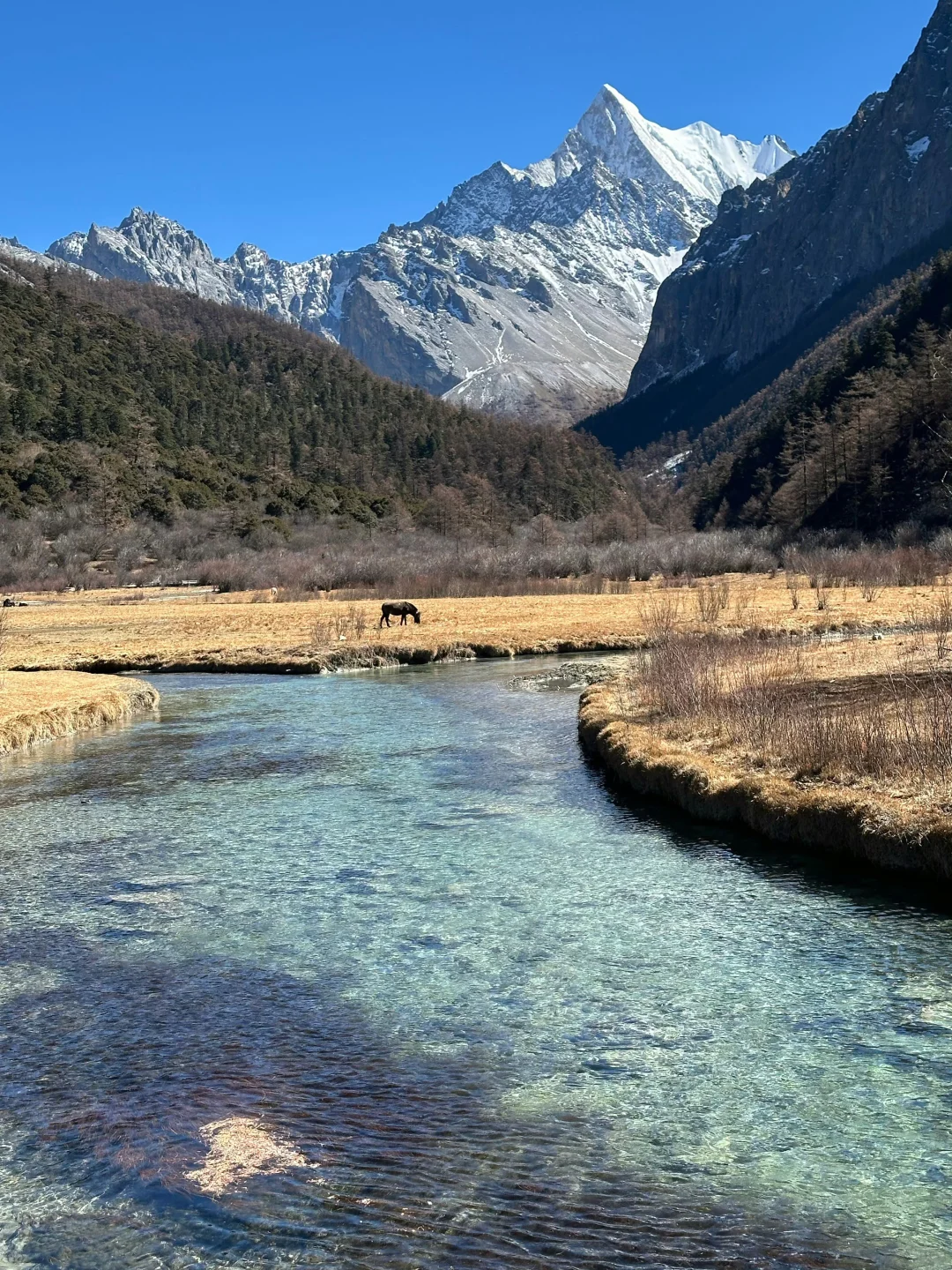 11.20 📍川西已回，要去的姐妹慎重...