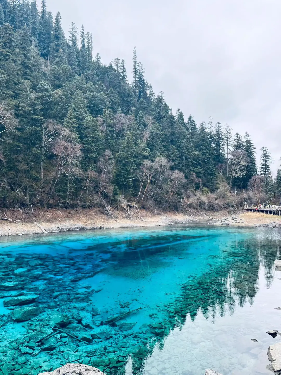 11.21九寨沟下雪现状😓，真心建议还没来的…