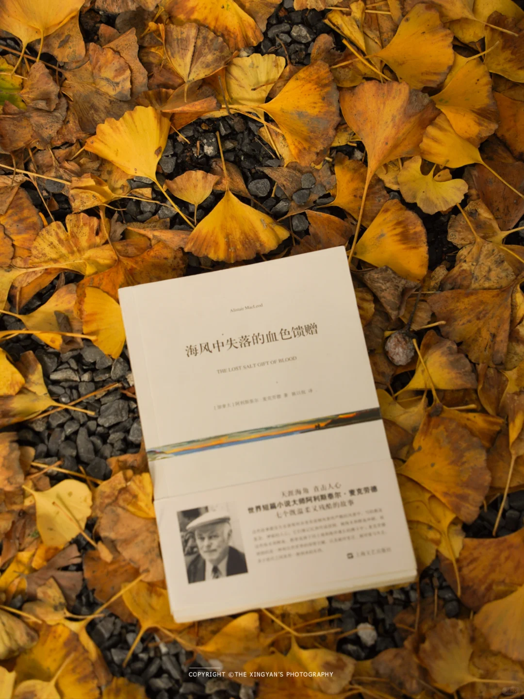 湖北这么美的银杏！还有谁不知道…本周快冲