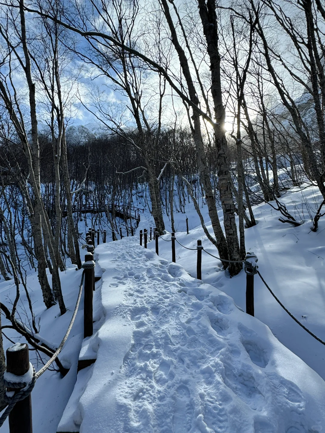 长！白！山！下雪了美到封神❄️