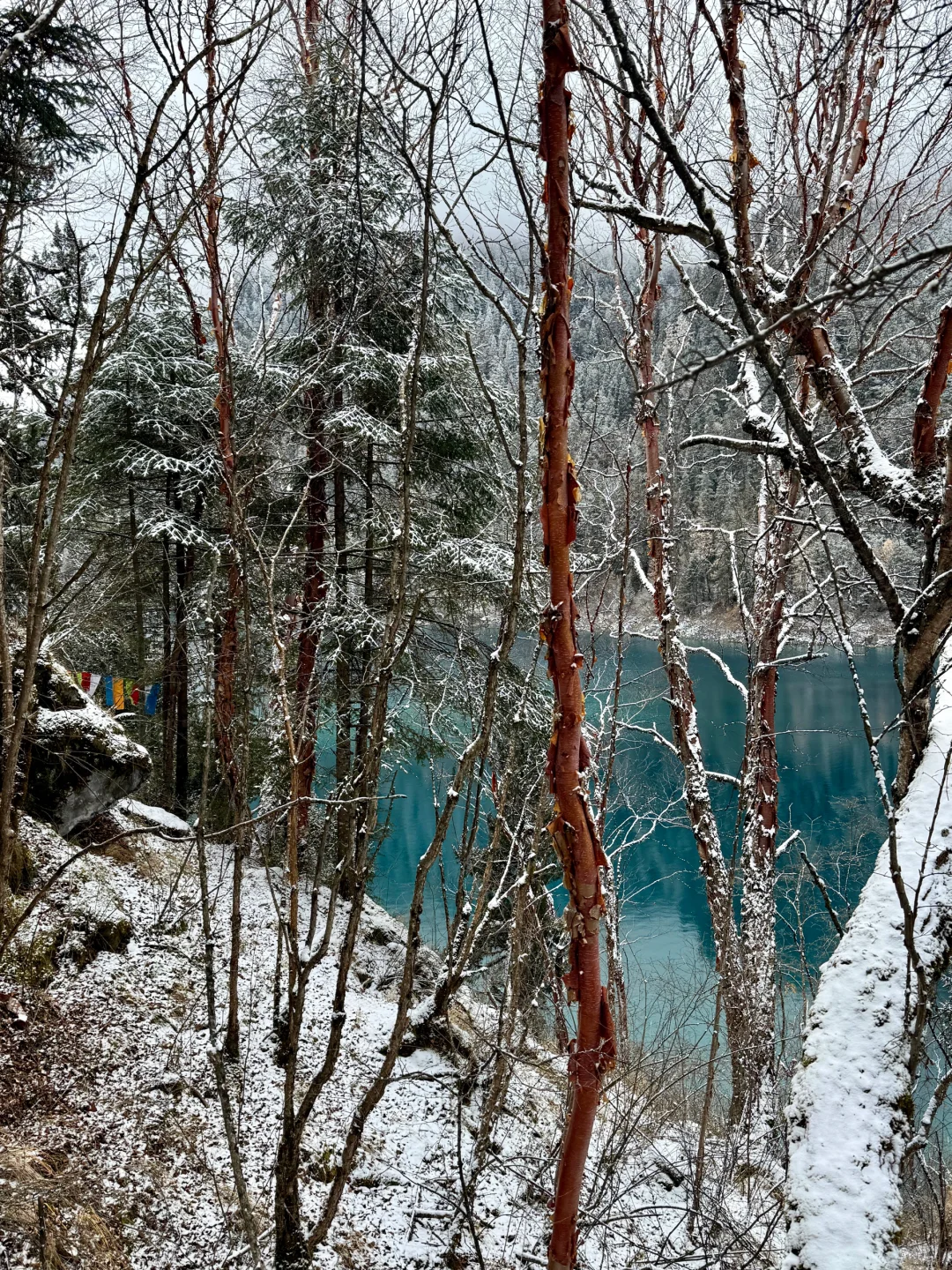 11.19📍九寨下雪赌狗大胜利 但真冷崩溃🥶…