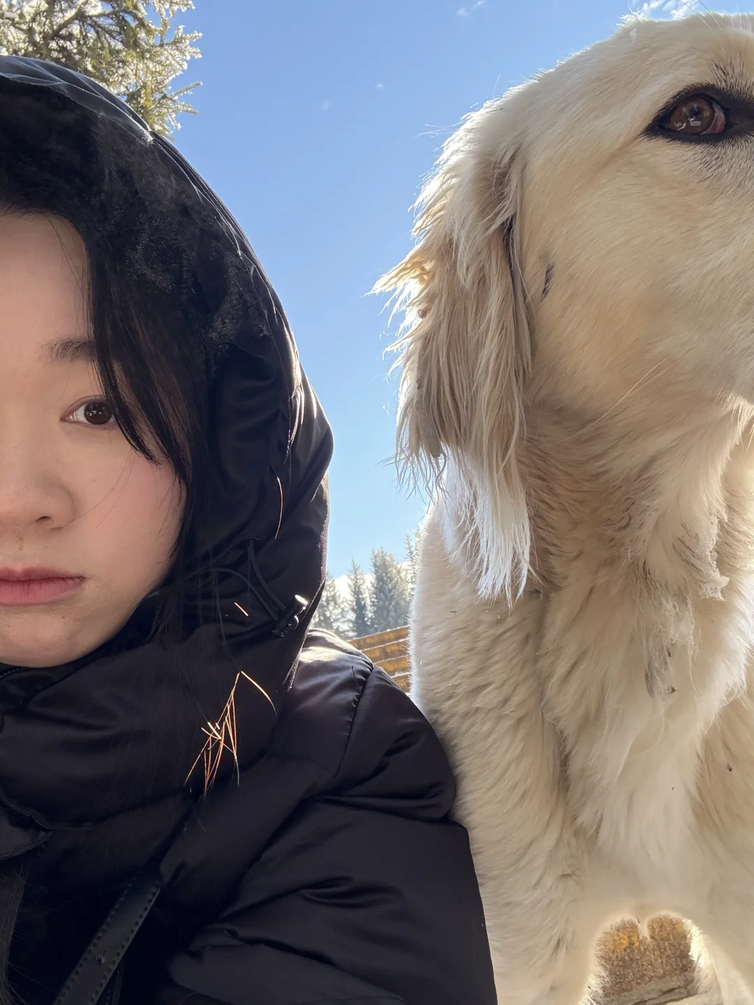 好美·喀纳斯