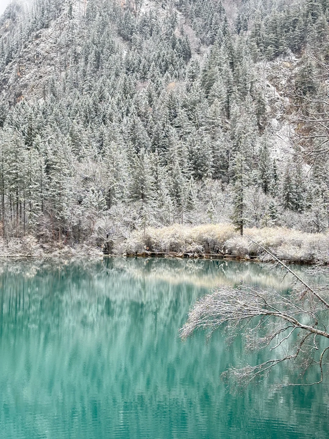 11.19📍九寨下雪赌狗大胜利 但真冷崩溃🥶…