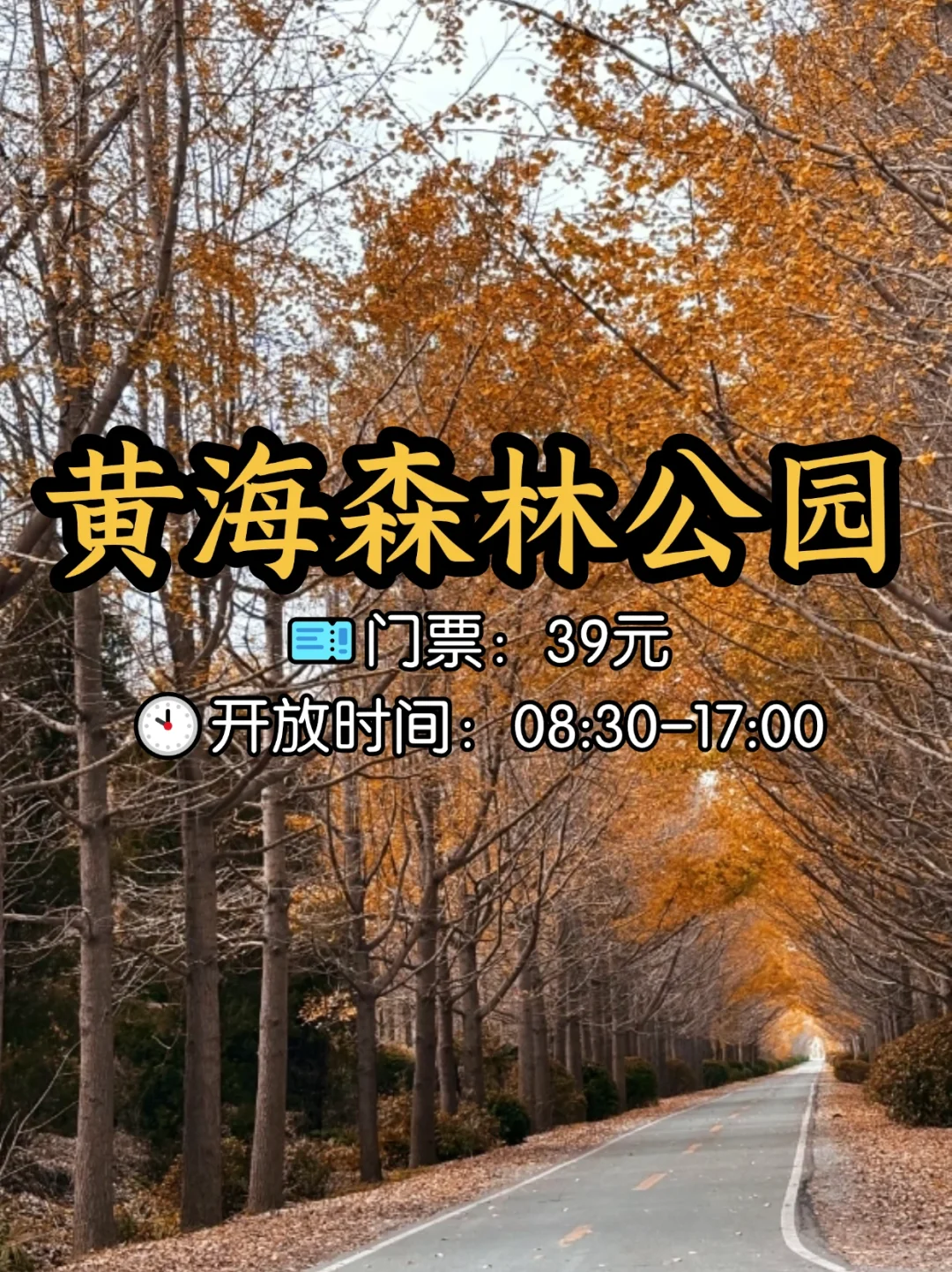 📍江苏盐城8大必打卡景点，不容错过！