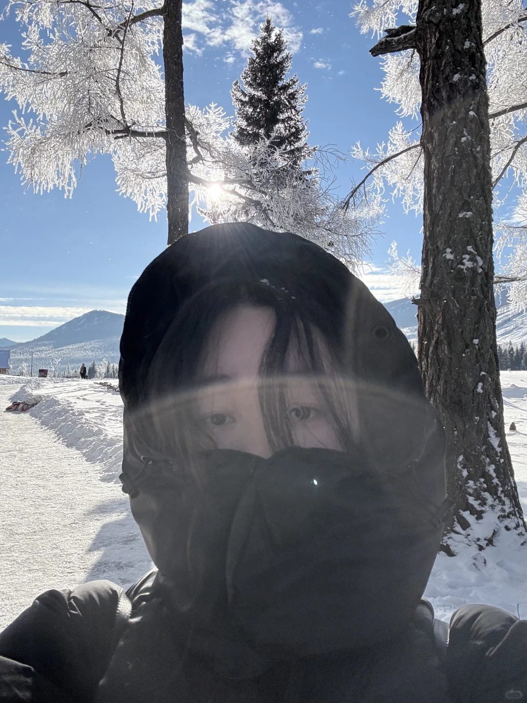好美·喀纳斯