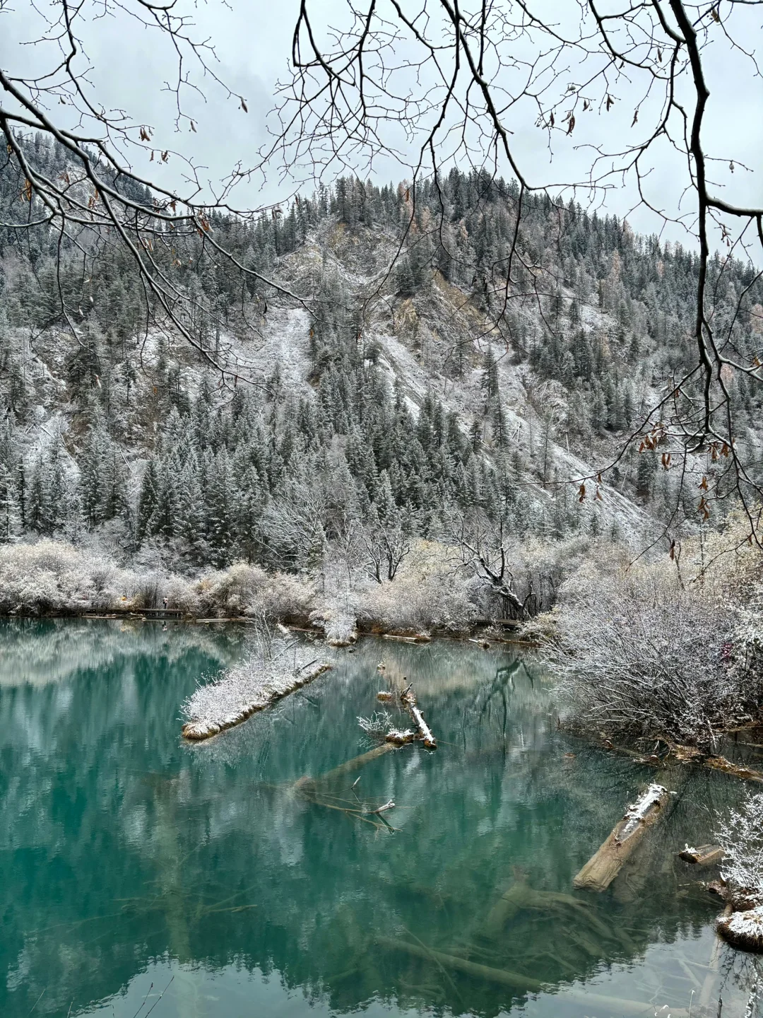 11.19📍九寨下雪赌狗大胜利 但真冷崩溃🥶…