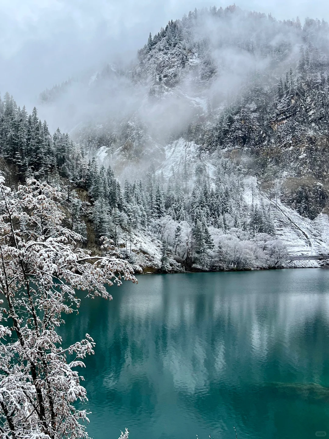 11.19📍九寨下雪赌狗大胜利 但真冷崩溃🥶…