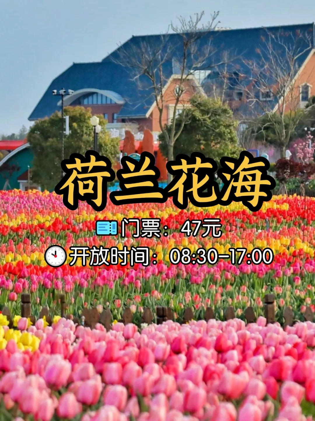 📍江苏盐城8大必打卡景点，不容错过！