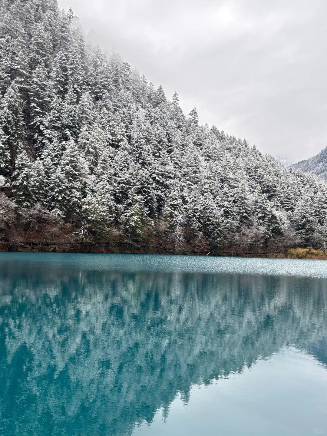 11.19📍九寨下雪赌狗大胜利 但真冷崩溃🥶…