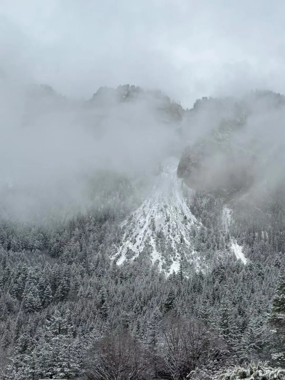 11.21九寨沟下雪现状😓，真心建议还没来的…