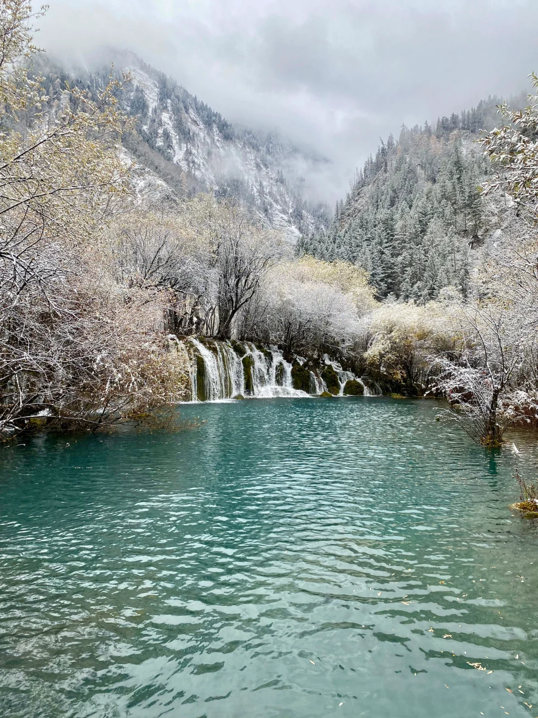 11.19📍九寨下雪赌狗大胜利 但真冷崩溃🥶…