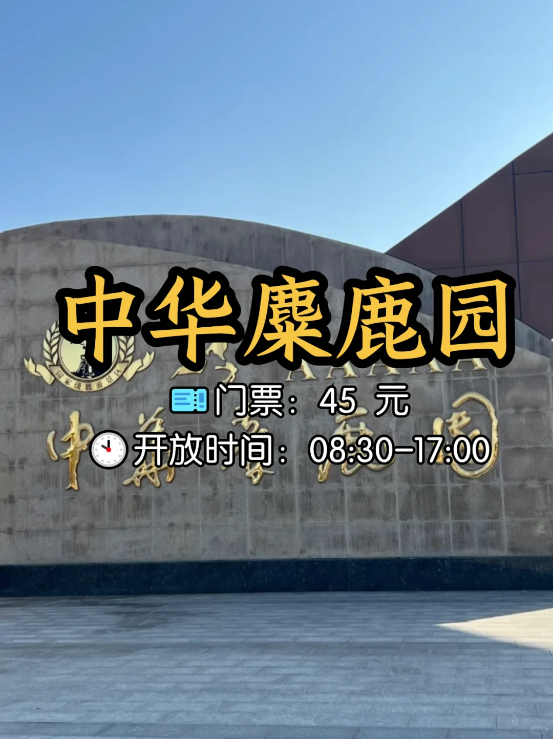 📍江苏盐城8大必打卡景点，不容错过！