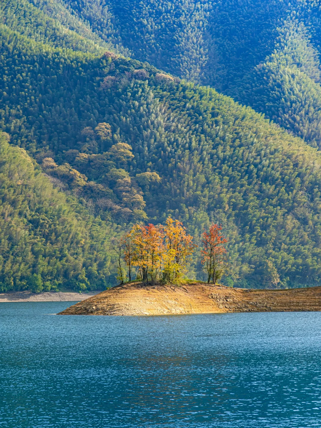 写给近期要去黄山的姐妹🌄满满的全是干货❗️