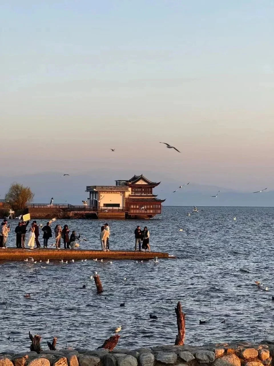 人生建议：秋冬季一定要去一趟云南🍂