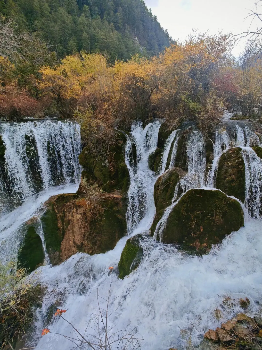 11.21九寨沟下雪现状😓，真心建议还没来的…